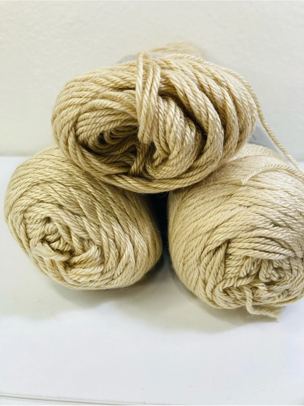 2 NEW + Leftovers 455g total Caron Simply Soft color Bone 9703 100% Acrylic